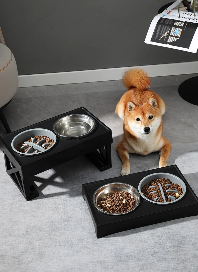 Raised Feeding Bowls with Adjustable Height Stand