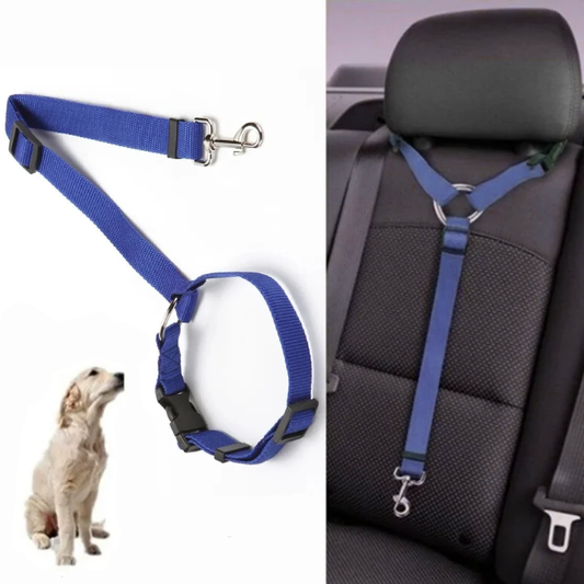 2in1 Nylon Pet Car Seat Belt + Leash