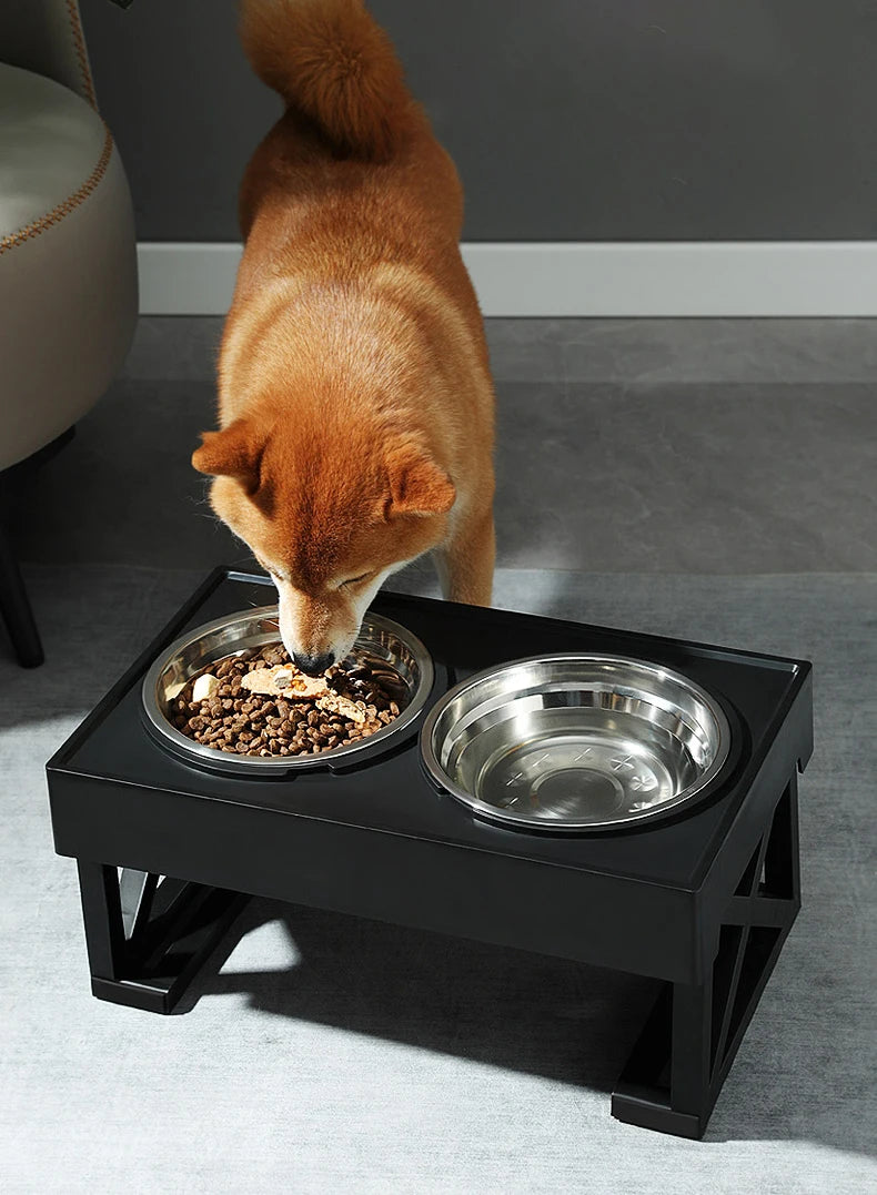 Raised Feeding Bowls with Adjustable Height Stand