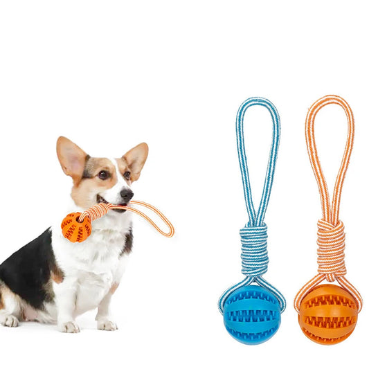 Dog Treat Puzzle Ball with Rope