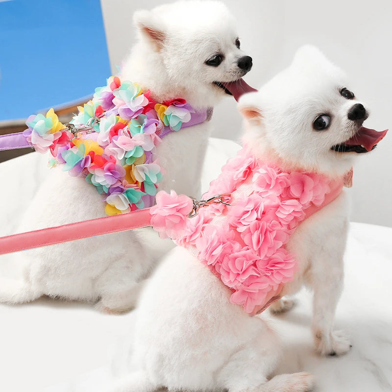 Floral Vest & Leash Set