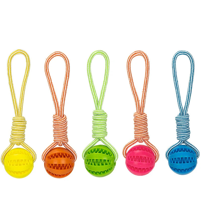 Dog Treat Puzzle Ball with Rope