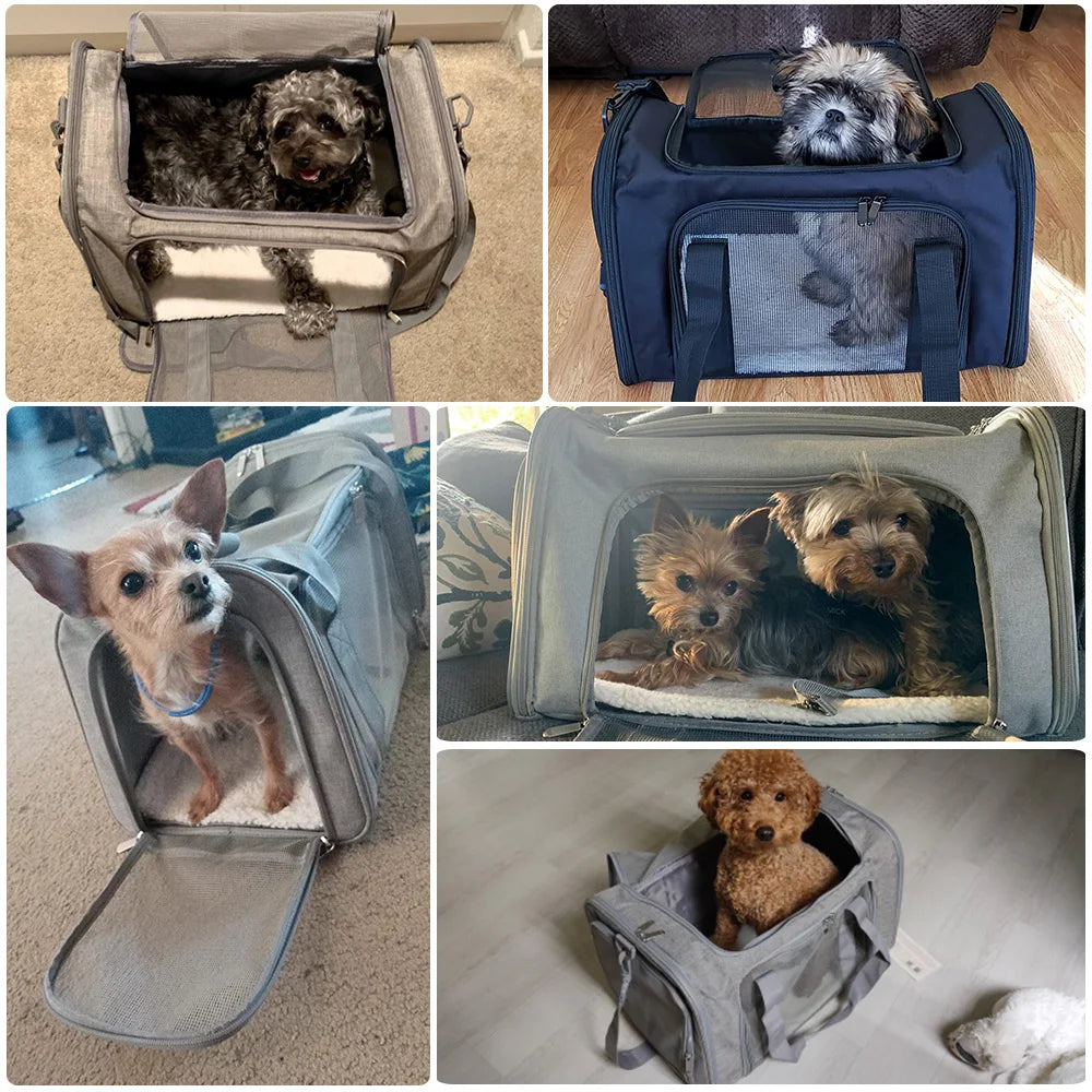 Dog Carrier Travel Bag for Small Dogs - Airline Approved Bag